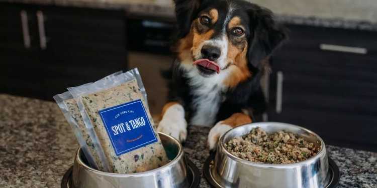 Dog Food