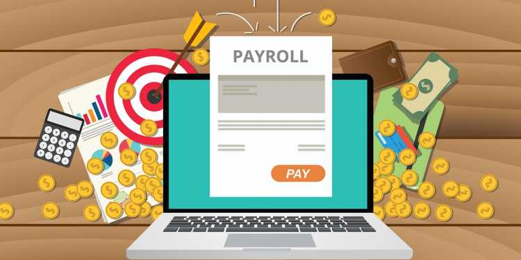 Payroll Software Provider