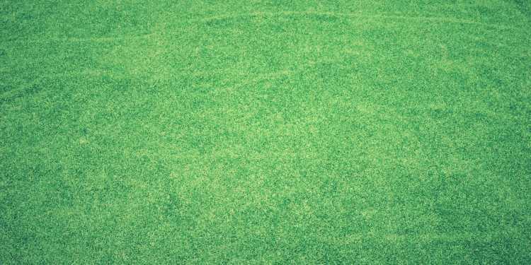 Practices for Carpet Removal