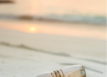 Tips on How to Organize a Cleanup Drive