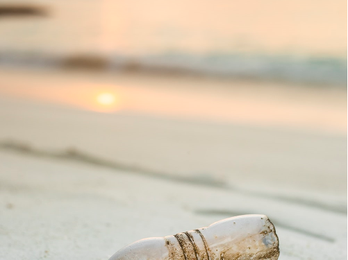 Tips on How to Organize a Cleanup Drive