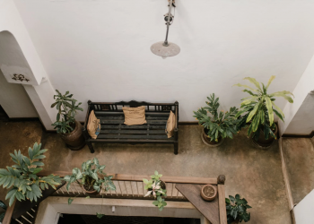 TRENDY HOUSEPLANTS FOR 2021