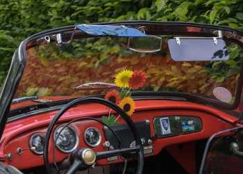 Care Steps After Auto Glass Repair & Replacement Service in Tulsa