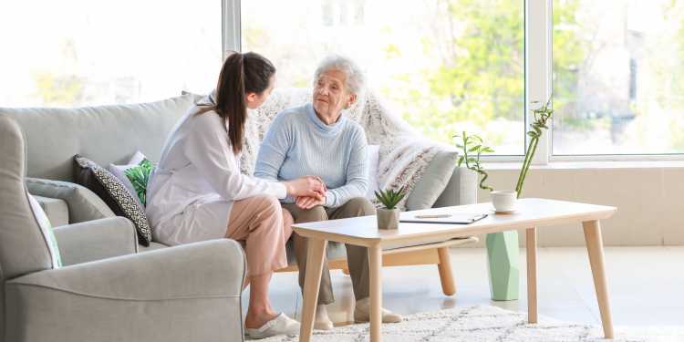 Elderly Assistance And Companionship