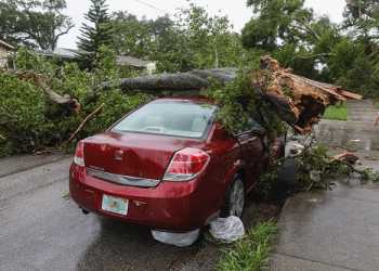 Hit by a Car in a Pedestrian-Car Accident? Here Are Your Legal Options