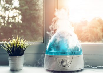 Guide to Buying a Humidifier