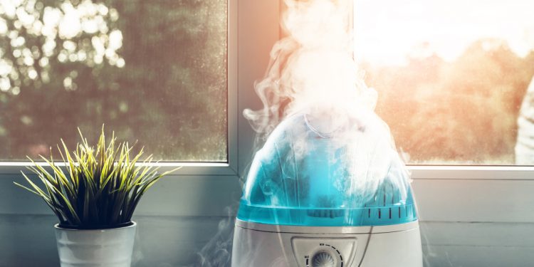 Guide to Buying a Humidifier