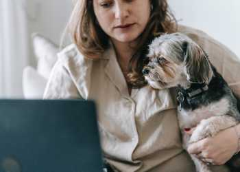 Animal Psychology What To Know