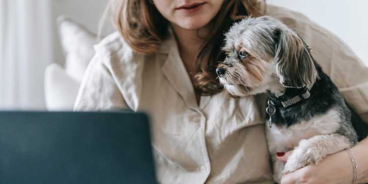 Animal Psychology What To Know