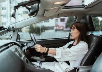 international driving license