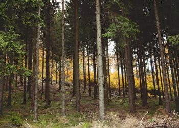 What are the Toughest Hunts in North America?