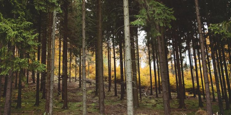 What are the Toughest Hunts in North America?