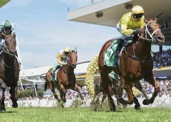 How Do You Bet for the 2022 Breeders Cup Mile?