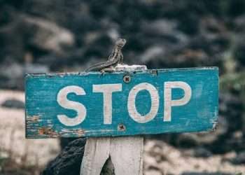 California Sexual Harassment Training