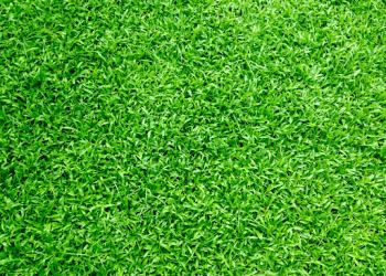 The Right Artificial Turf Distributor For You