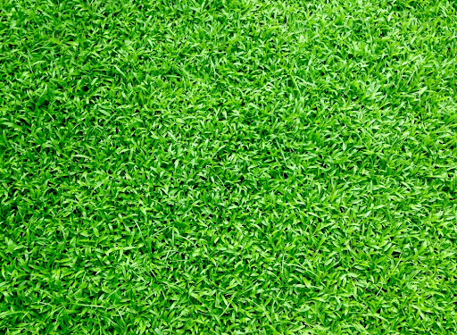 The Right Artificial Turf Distributor For You