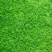 The Right Artificial Turf Distributor For You