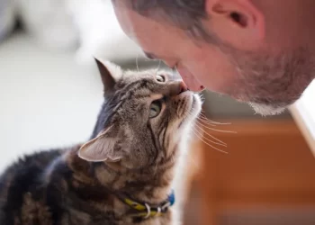 How Pet Ownership Benefits Your Mental Health