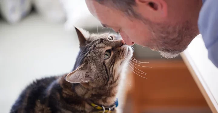 How Pet Ownership Benefits Your Mental Health
