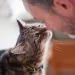 How Pet Ownership Benefits Your Mental Health