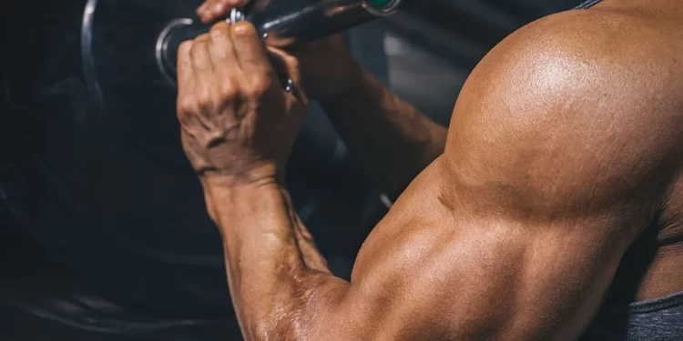 Understanding Steroids