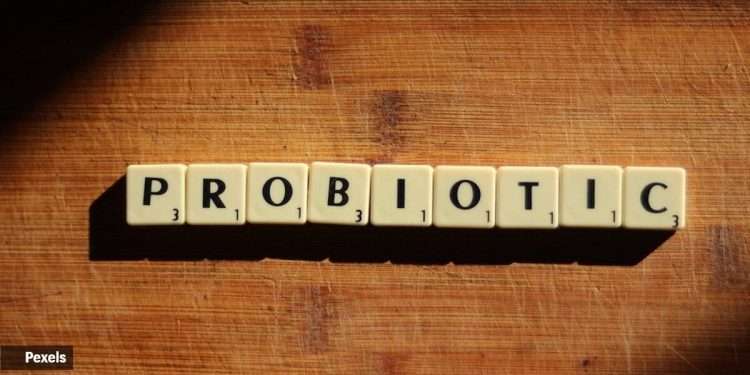 Do Probiotics Really Help Improve Vaginal Health?