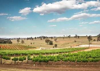 FROM A ROUGH START TO A RENOWNED WINE REGION, Hunter Valley Building History