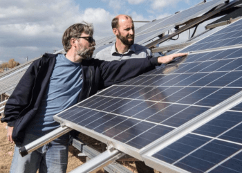 Facts That You Need to Know About Solar Panel Lifespan