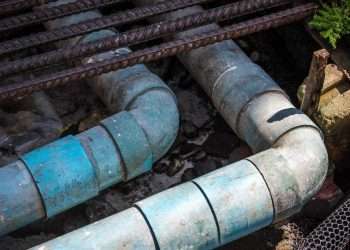 Five Red Flags Your Sewer Line Needs Repair Clogged Sewer Drain