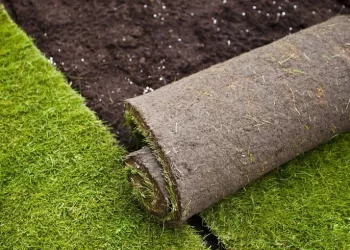 Go green with turf suppliers Sydney