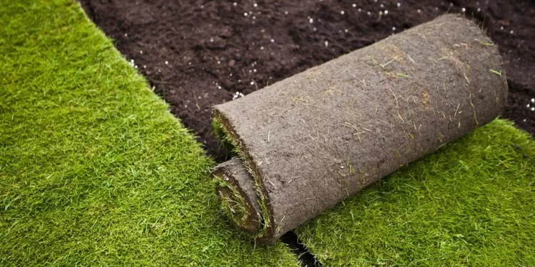 Go green with turf suppliers Sydney