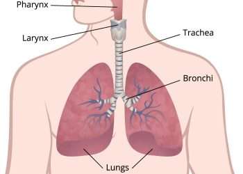 Knowledge of Squamous Lung Cancer