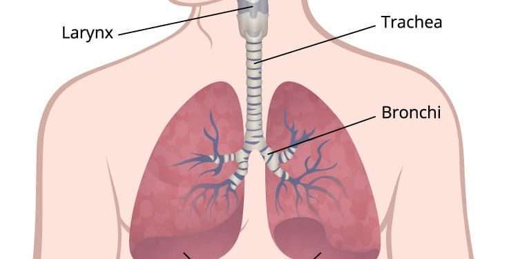 Knowledge of Squamous Lung Cancer