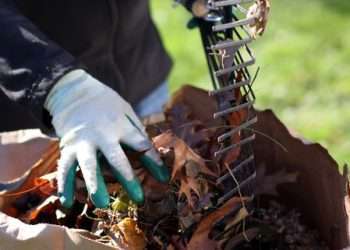 Making the removal of garden waste simple