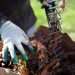Making the removal of garden waste simple