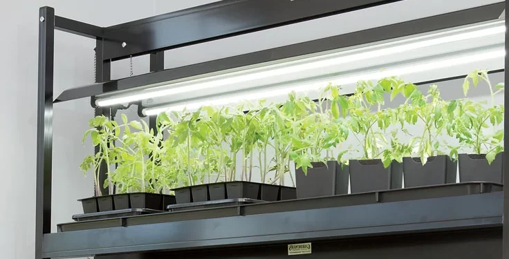 See How Grow Lights Transform Your Garden