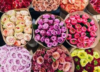 What Are The Best Flower Bouquets for Expressing Your Gratitude With Affection