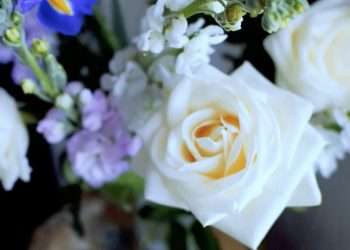 Why You Should Try Online Flower Delivery in Hyderabad