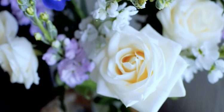 Why You Should Try Online Flower Delivery in Hyderabad