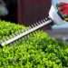 Top 5 Tips On How To Trim Hedges