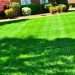 Lawn Renovation 101: How to Renovate Your Lawn Into a Landscaping Dream