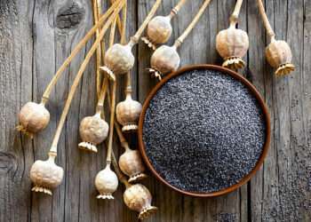 Poppy Seeds: 6 Effects to Know About