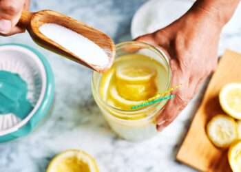 Sugar Free Fruit and Diabetes Insipidus: A Comprehensive Guide