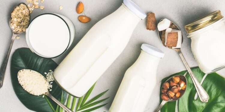 Alternatives to cow’s milk you should know about
