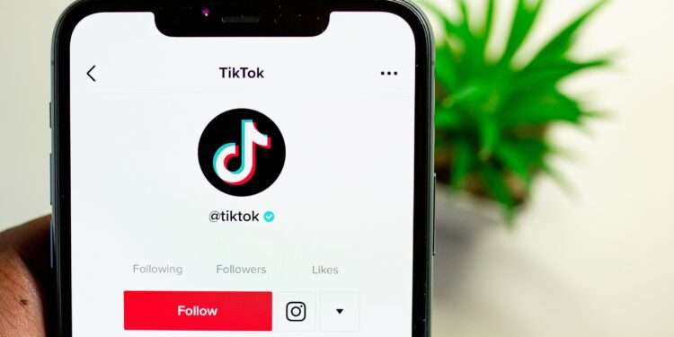 How to remove TikTok filter