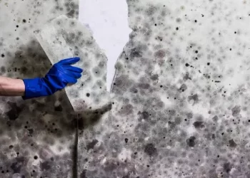 Smartwatch, smart band, sports watch, or activity monitor? Which one to choose?