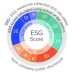 Are ESG scores trustworthy? How can you be sure