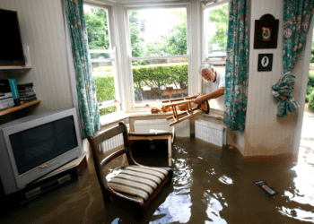 Rising from the Flood: Mould Remediation after Flood Damage