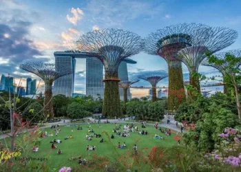 The Most Affordable Units in Chuan Park Singapore