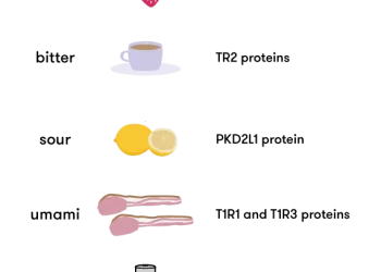 Ultimate Guide to Making Your Signature Seasoning Blend